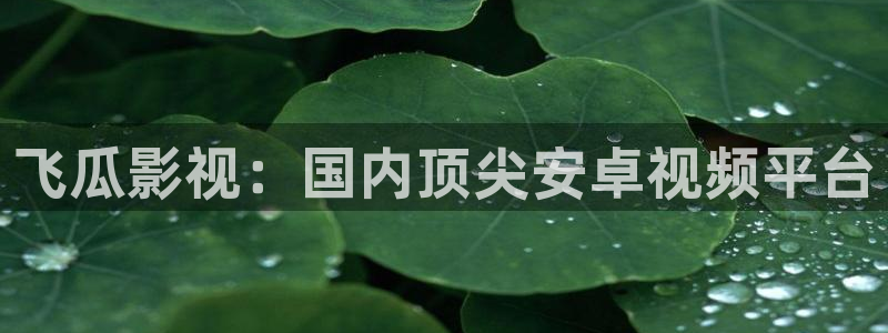 yy6090免费观看青苹果影院