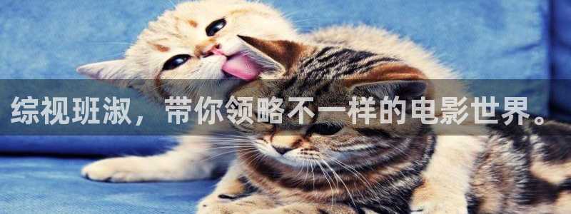 青苹果乐园影院yy6080