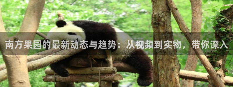 青苹果午夜影院
